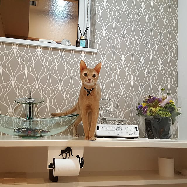 megu.catさんの実例写真