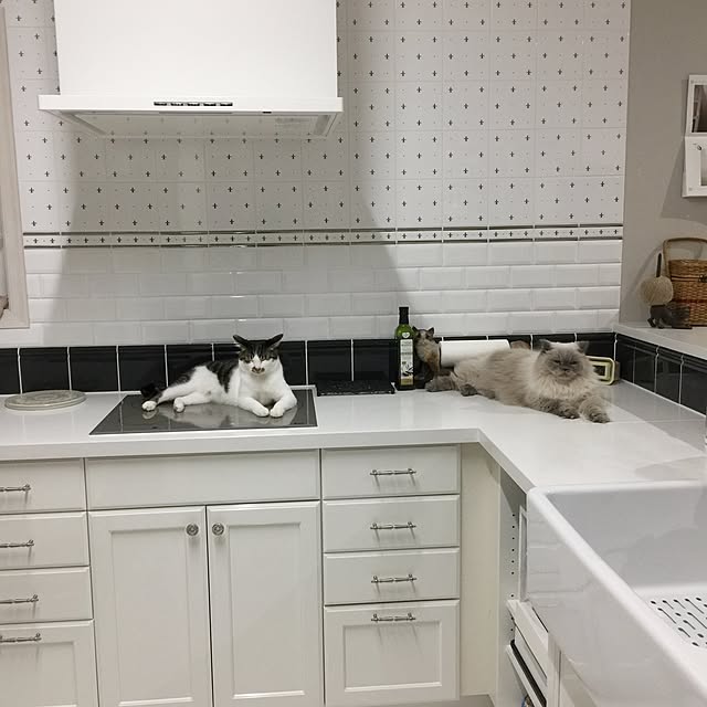 yuchiさんの実例写真