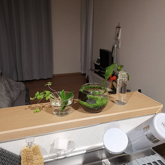 midomiさんの実例写真