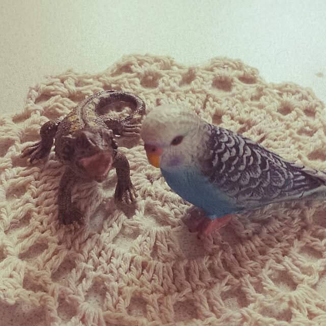Naomiさんの実例写真