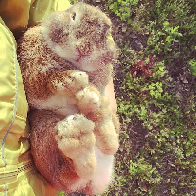 MARIさんの実例写真