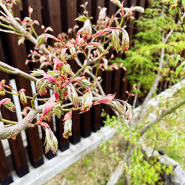 seiさんの部屋
