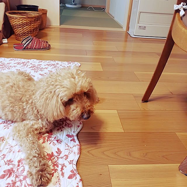 chokocreamさんの実例写真