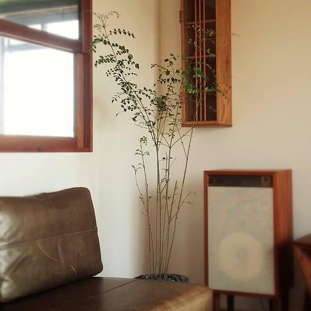 one-fatさんの実例写真