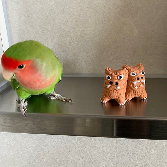 toratanさんの部屋