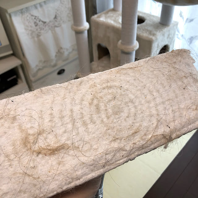 Atelier.mさんの実例写真
