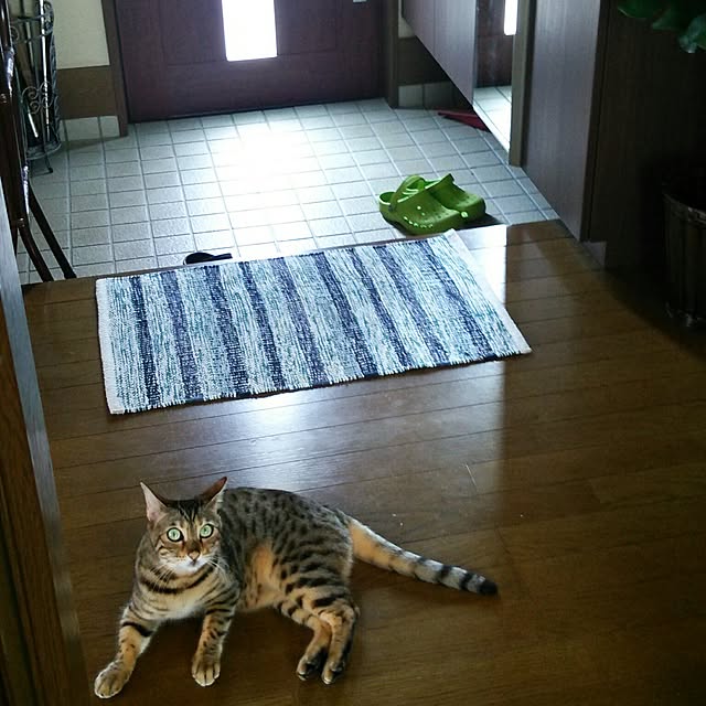 fuku-fuku-fuさんの実例写真