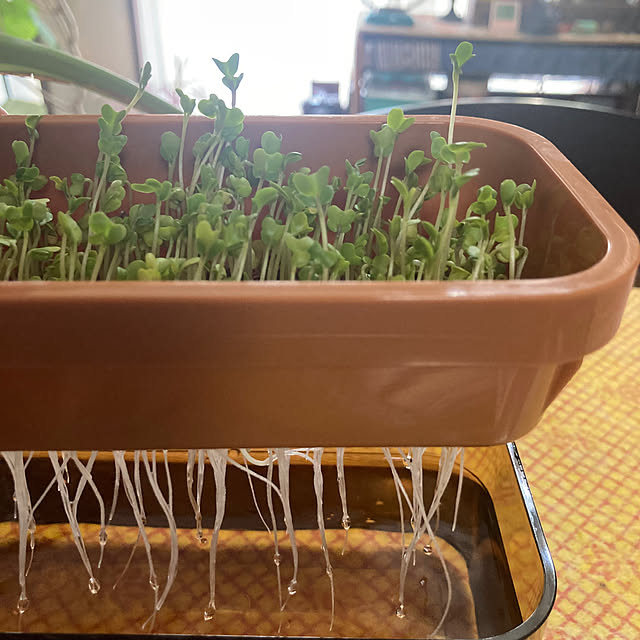 heidiさんの部屋