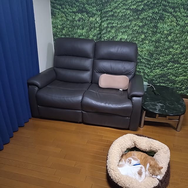 NOAHさんの実例写真