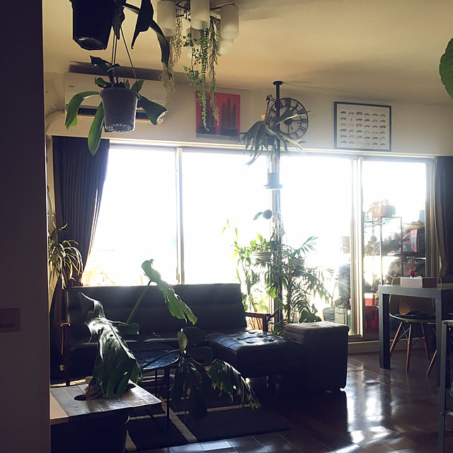 0415さんの実例写真