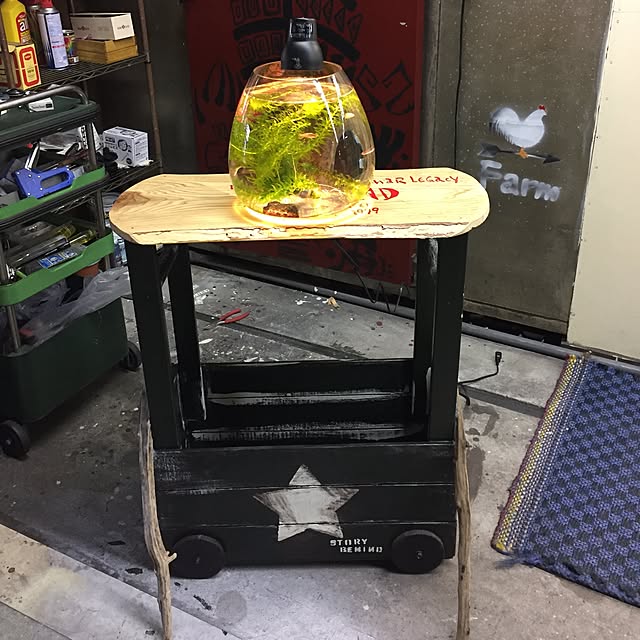 実例写真