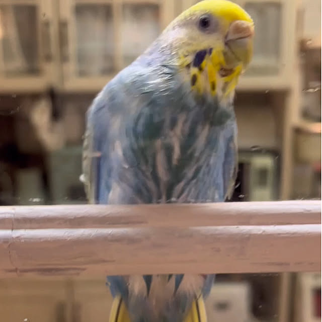 Atsukoさんの部屋