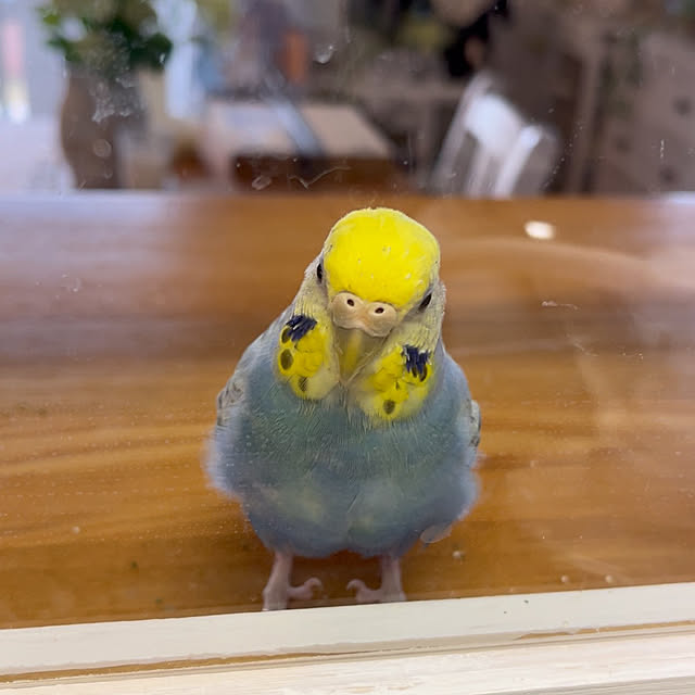 Atsukoさんの部屋