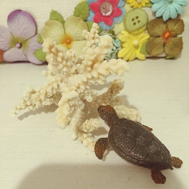 hiromixさんの実例写真
