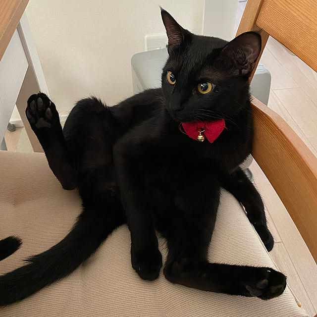naturalさんの実例写真