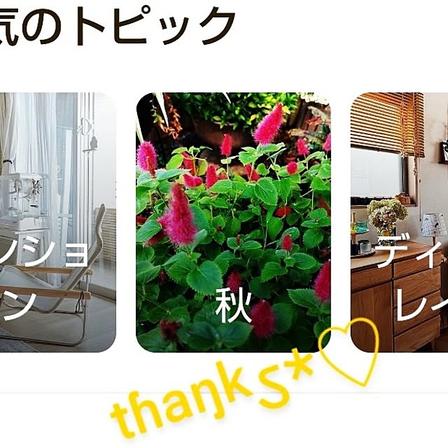 katさんの部屋