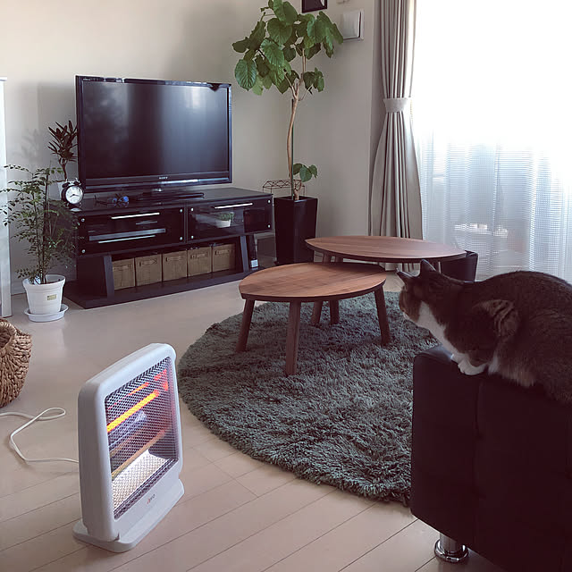 nekomiさんの実例写真