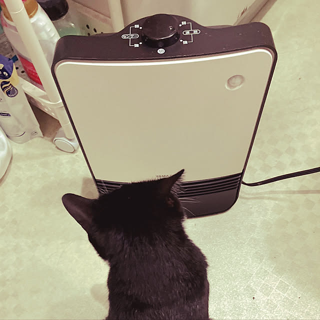nekoさんの実例写真