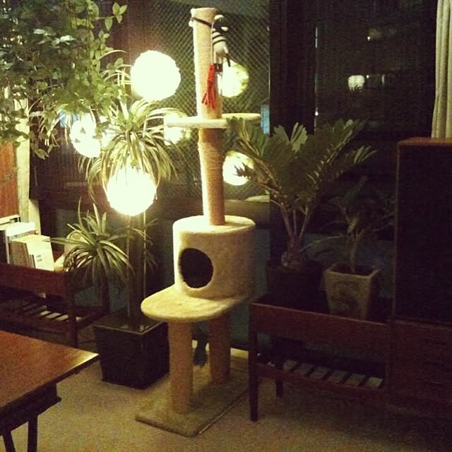 kaulsjaiveさんの実例写真