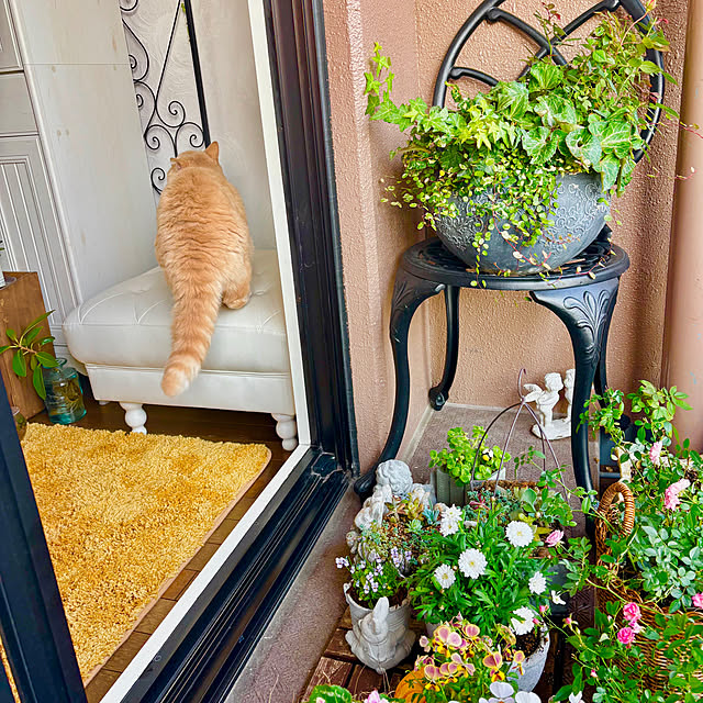 naokoさんの実例写真