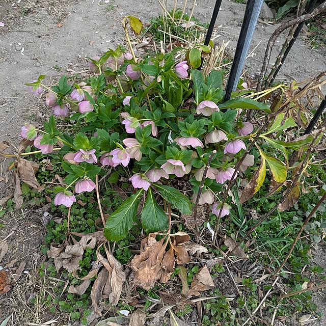 minnieさんの部屋