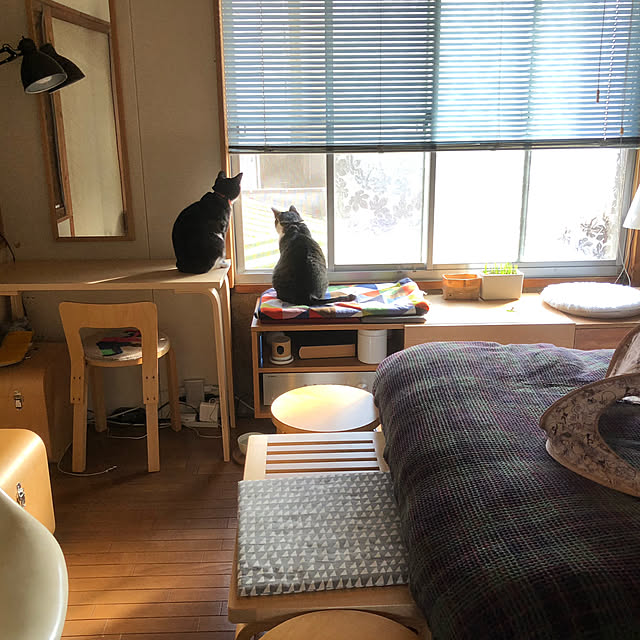 nejimakiさんの実例写真