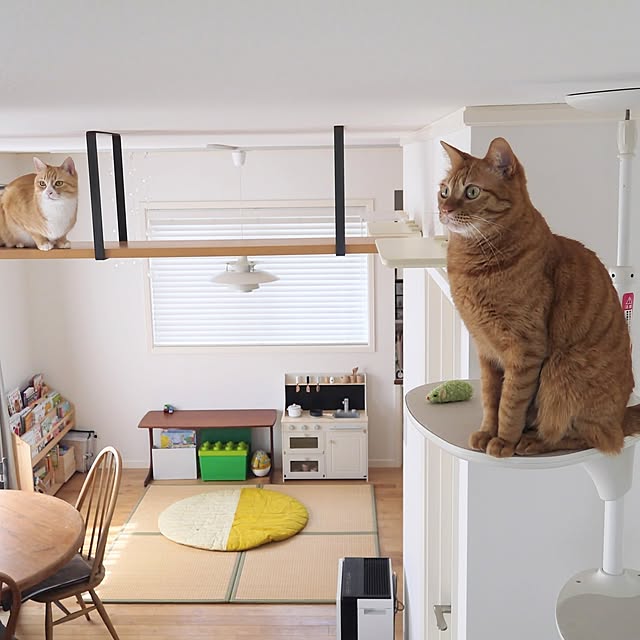 poteさんの実例写真