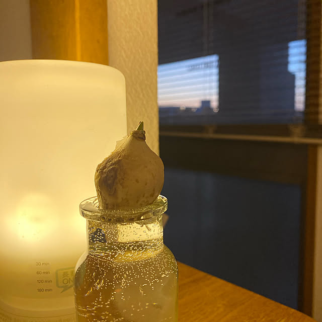 cottoncottonさんの実例写真