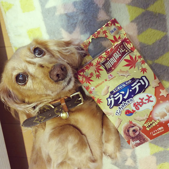 milkさんの実例写真