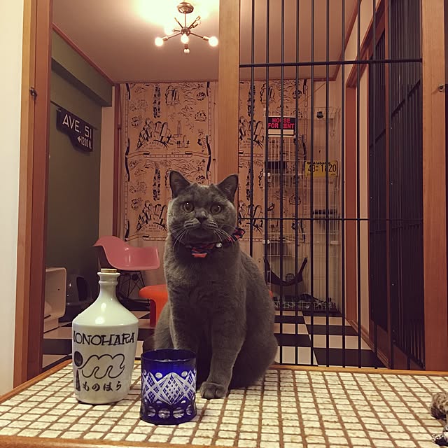 Shojiさんの実例写真