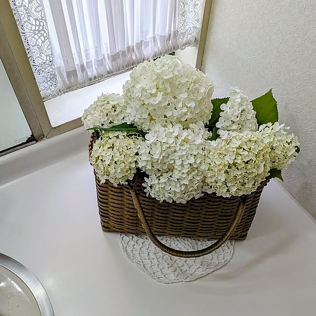 Renさんのお部屋の写真