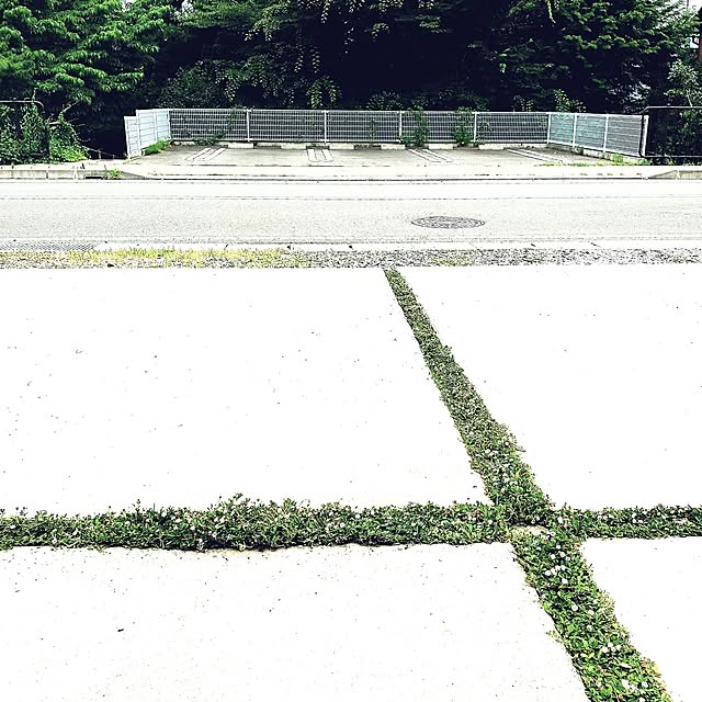rimoleoさんの実例写真