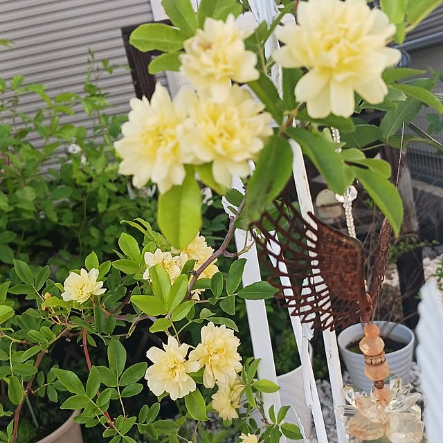 aiさんの部屋