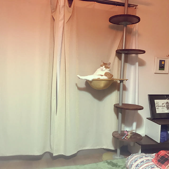 ennaさんの実例写真