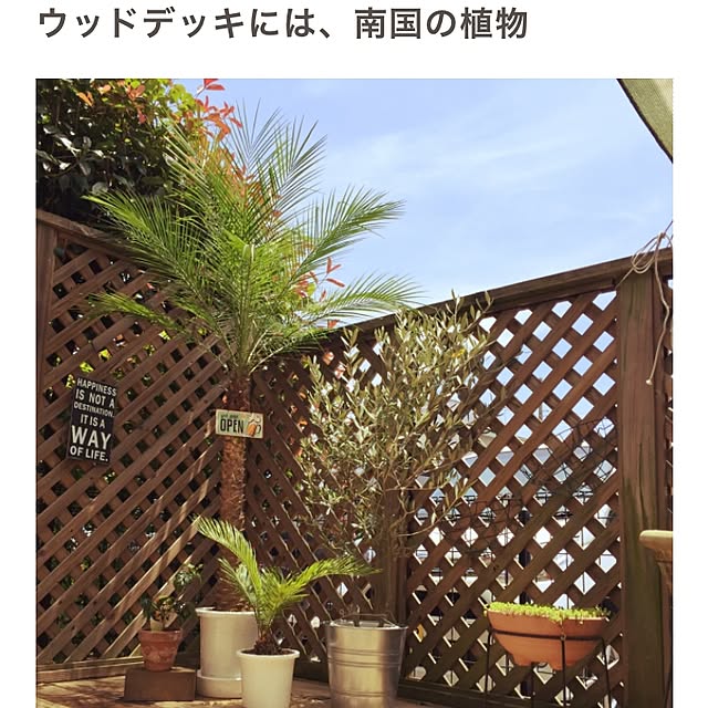 appleさんの実例写真