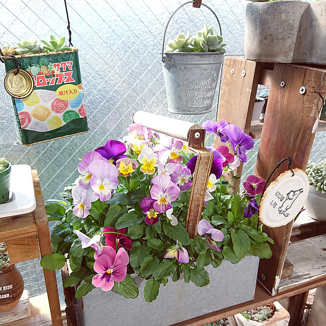 sakusakuさんの実例写真
