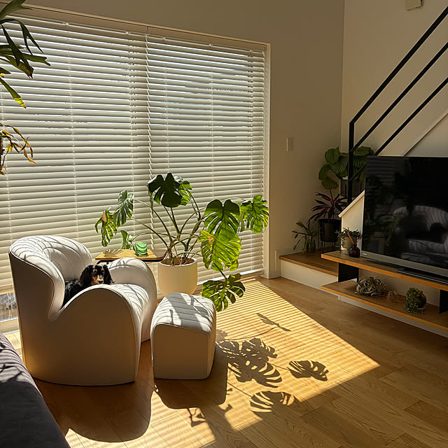 nashie7474さんの部屋