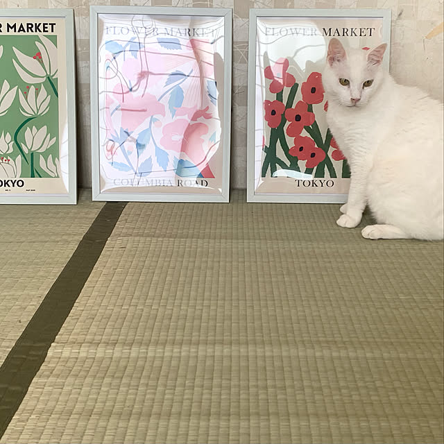 buzzcocksさんの実例写真