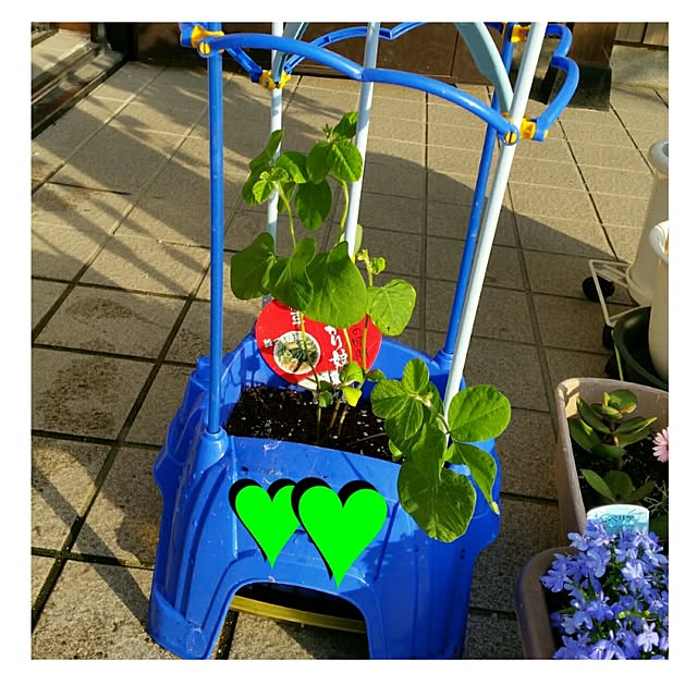 annさんの実例写真