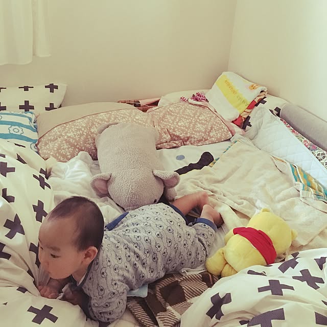 実例写真