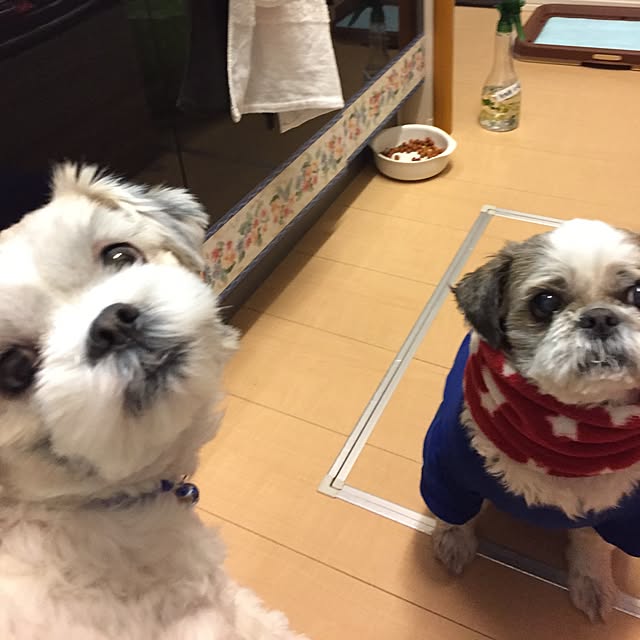 emiさんの実例写真