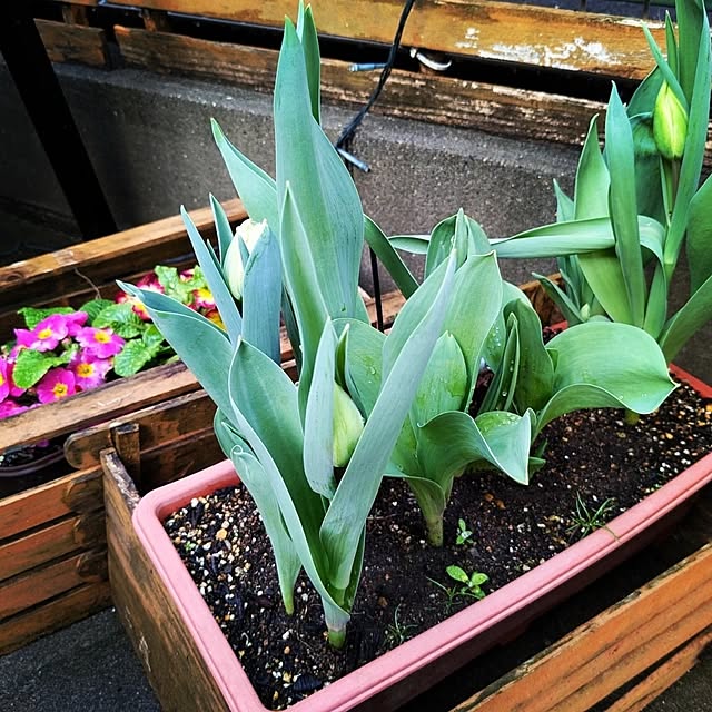 mofukoさんの部屋