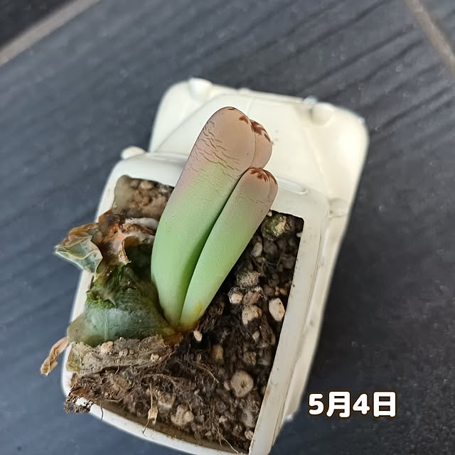 tomo5さんの部屋