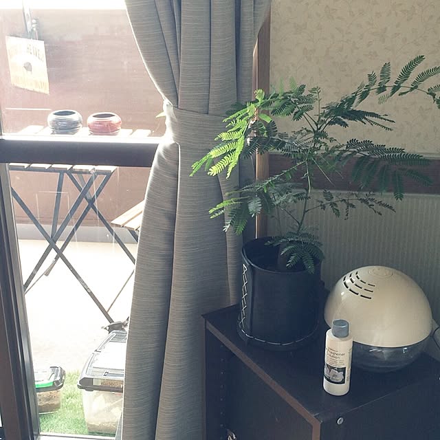 MISATOさんの実例写真