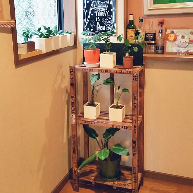 annさんの実例写真