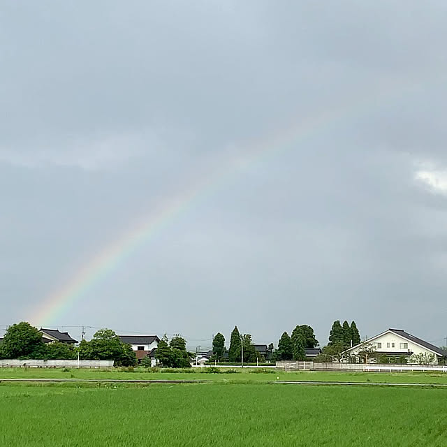 chiiyanさんの部屋