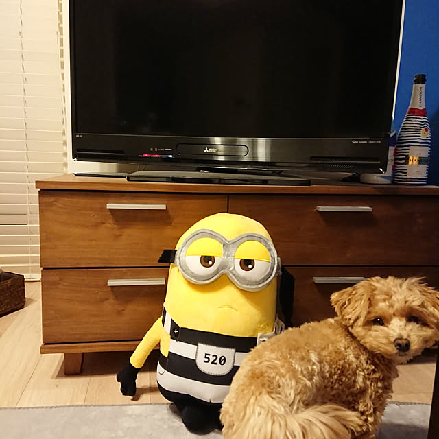 macoさんの実例写真