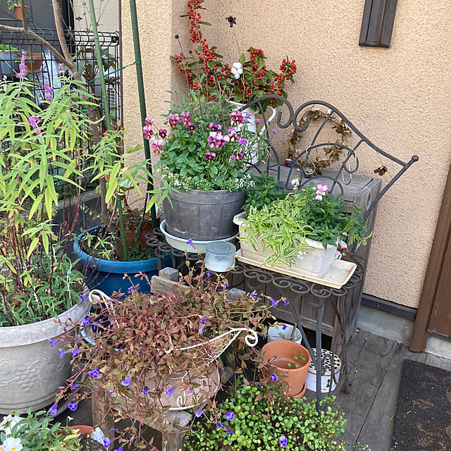amiromikaさんの実例写真