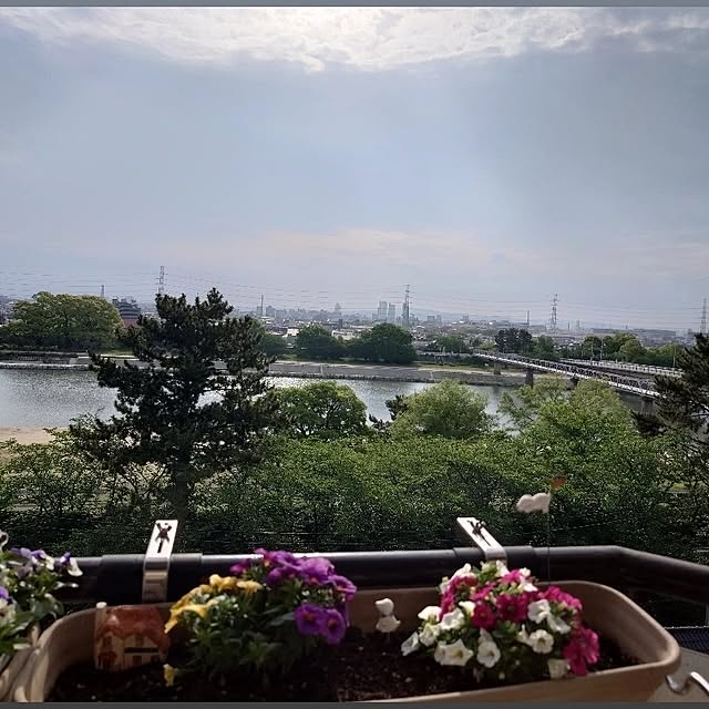 maopoliceさんの実例写真