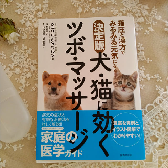 lilyさんの実例写真